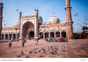 Die Jama Masjid Moschee in Delhi, Indien