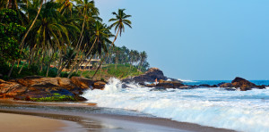Bei einem Urlaub auf Sri Lanka aufgenommen.