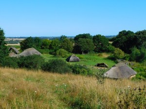 mehrere Wikingerhäuser auf einem Feld